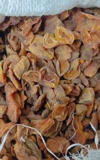 قیسی محلی امسال