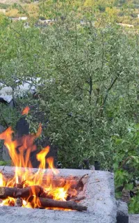 باغ ۱۳۰۰متری زمین شهری داخل شهرسی سخ