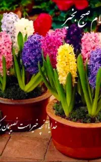 خطهای ثابت منطقه غرب