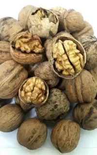 گردو گندمکال