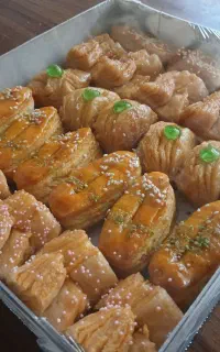 زبان کره ای جعبه ای و فله بصورت عمده