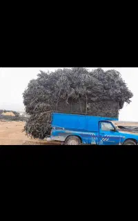 خریدار نوار تیپ از محل شما