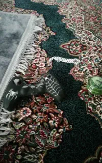 سلام خدمت عزیزان