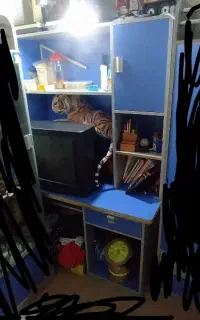 میز کامپیوتر دارای کتابخانه سالم سالم