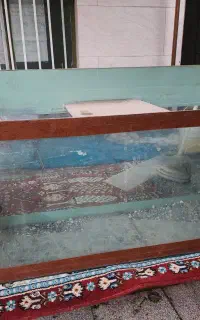 آکواریوم