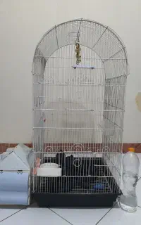 قفس پرنده با وسایل