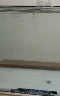 آکواریوم