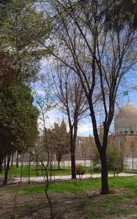 استخدام خادم یار امامزاده