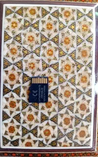 مموری کارت  ۲۵۶