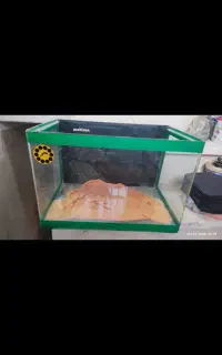 آکواریوم ماهیران
