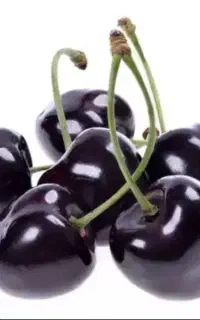 نهال گیلاس تکدانه سیاه مشهد نهالستان اسدپور