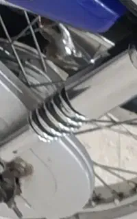 کمک فنر چراغ گرد