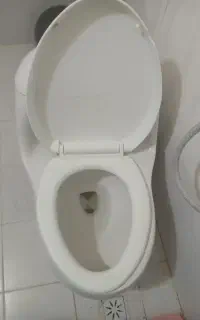 توالت فرنگی