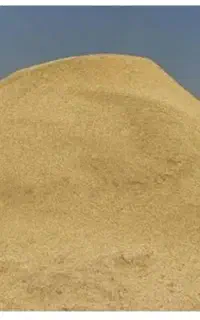 کاه گندم