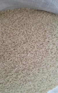 برنج دم سیاه مینودشت