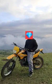 تریل رادیسون ۲۵۰