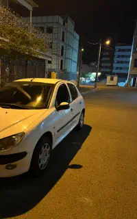 206 تیپ ۲ بی رنگ