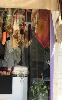 خشکشویی لاوندر