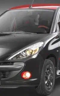 207 mc