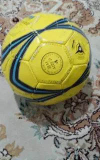 توپ سالنی