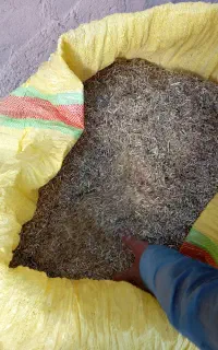 سلام یونجه خردشده آماده توی گونی