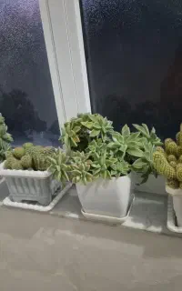 خدمات نظافت حرفه ای پریسان تضمینی