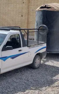 جابجایی اسب