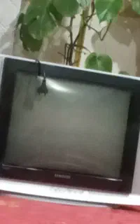 تلوزیون ۲۹اینچ رنگی درحدنو