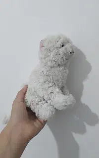 عروسک