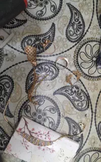 پوشه سبزگمشده