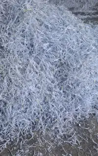 پوشال میوه