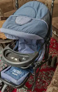 کالسکه دلیجان