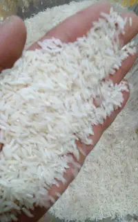 فورشی