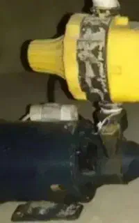 موتورکولر