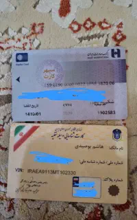 پیدا شده و گمشده