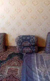 پشتی شاه نشین
