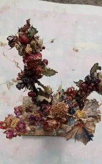 درختچه گل خشک طبیعی