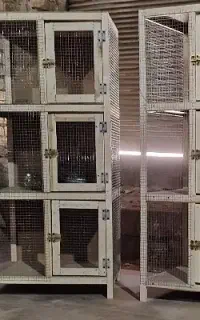 جفتکن