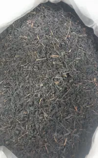فروش چای خشک امساله