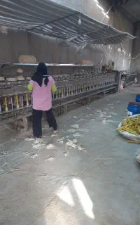 استخدام نیروی خانوم جهت کارخانه ریسندگی نخ