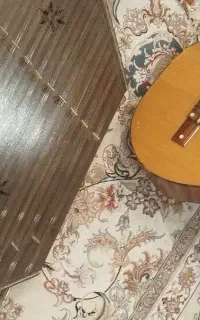 یک سنتور ویک گیتار