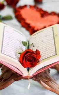 ف.ا.ل سرکتاب