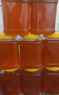 عسل طبیعی باخواص دارویی برگفته ازگیاهان