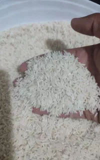 برنج هاشمی درجه 1