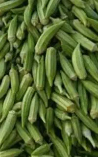 فروش بامیه شادگان