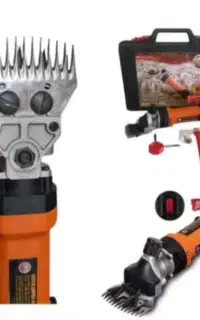 پشم چین حیوانات