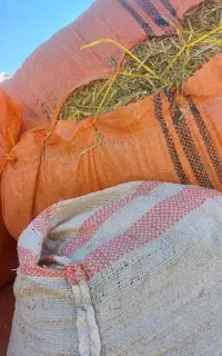 یونجه