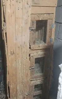 جفت کن ۳