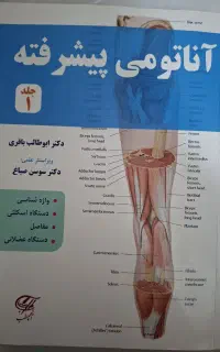 آناتومی