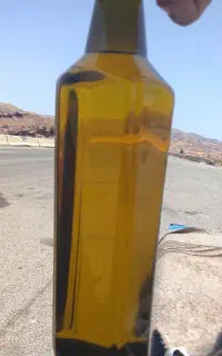 روغن زیتون اصل رودبار
